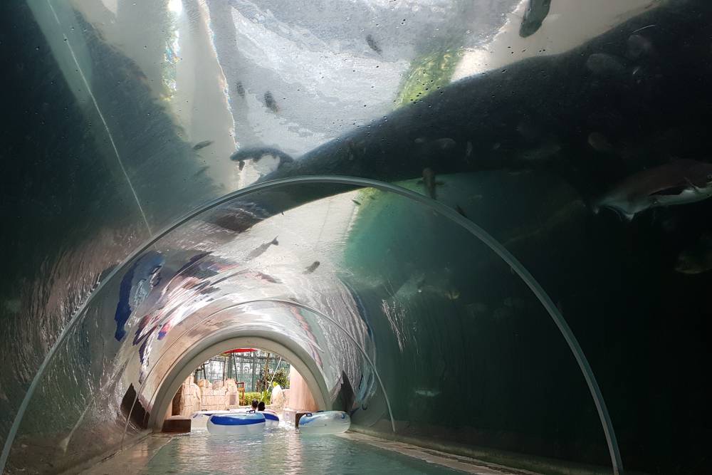 Adventure Cove Waterpark